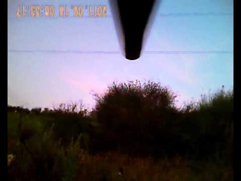 Caccia al Fagiano all\’apertura