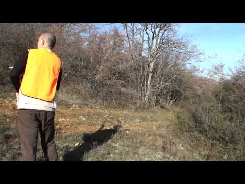 A caccia di Beccacce in Crimea