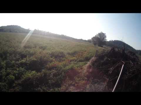 Caccia al Fagiano in Francia