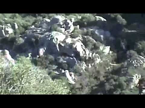 Caccia al Cinghiale ad Arzachena