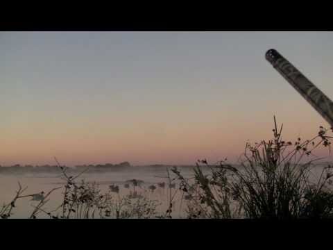 Caccia alle Anatre in Texas