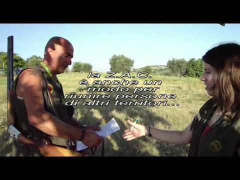 Gara cinofila di caccia alla starna