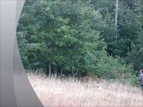 Caccia : Apertura 2011/2012