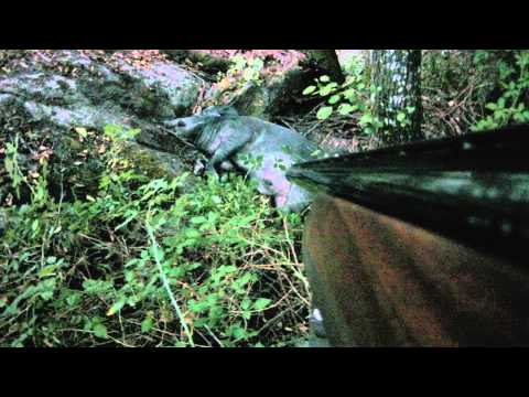 Caccia al Cinghiale in Corsica