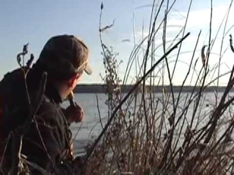 Caccia agli acquatici sul lago