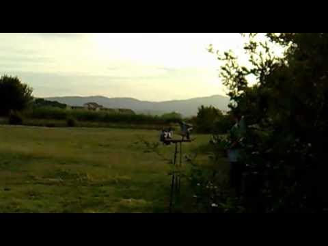 Cacci al Colombaccio con Volantini