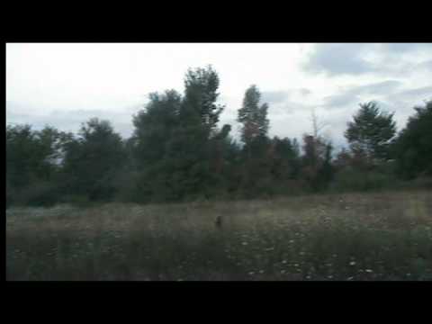 Caccia alla quaglia in Montenegro