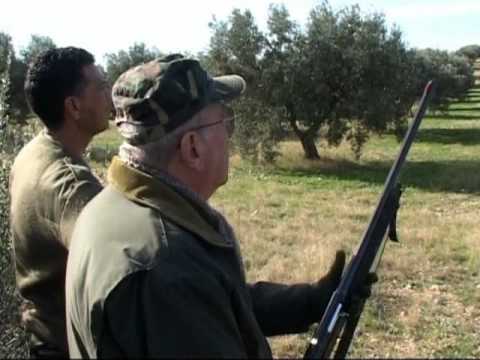 Caccia ai Tordi in Tunisia