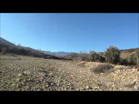 Caccia ai Tordi in Spagna