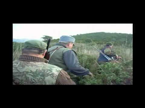 CACCIA GROSSA IN OGLIASTRA