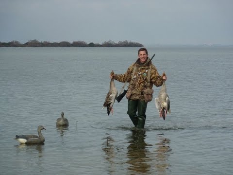 Caccia alle Anatre