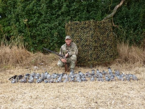 Caccia ai Colombaccia da appostamento