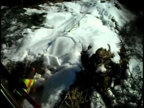 Caccia al Cinghiale a Arezzo