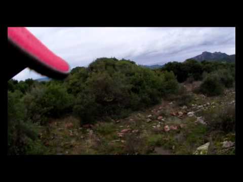 Caccia alla Regina in Sardegna 2010/2011