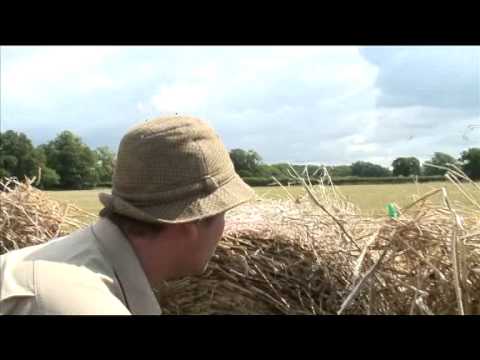 caccia ai colombacci al campo