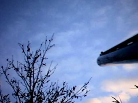 Caccia ai Tordi in Francia