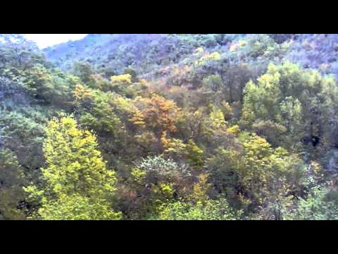 Caccia al Cinghiale a Civitella D\’agliano