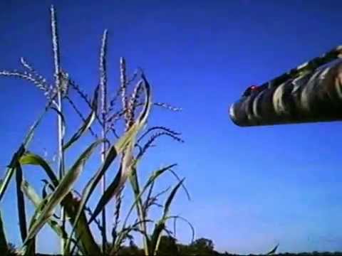 Caccia ai Colombacci