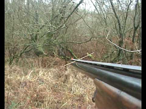 Caccia alla Beccaccia in Francia