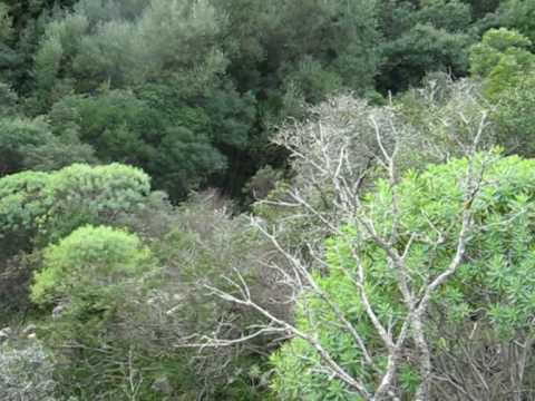 Caccia Grossa in Sardegna