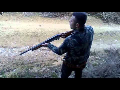 Caccia al Cinghiale in Sardegna.