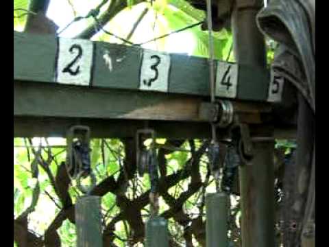 Caccia ai Colombacci in Liguria.