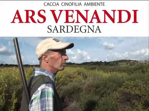 Caccia alla Lepre in Gallura