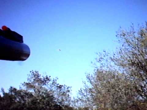 Caccia ai Tordi in Portogallo