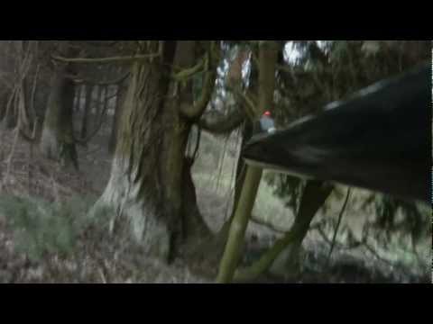 Caccia al Cinghiale in Piemonte