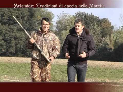 Caccia alle Allodole e agli storni