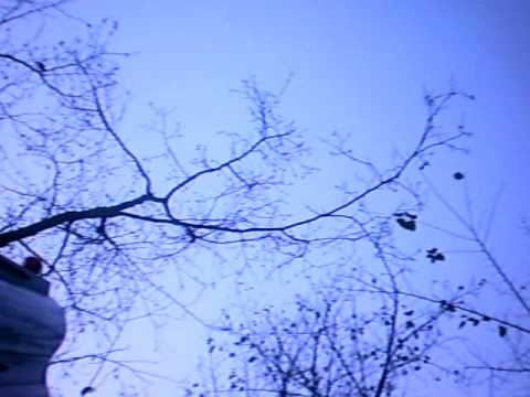 Beccaccia: La Caccia alla Beccaccia in Video