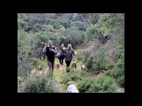 Caccia al Cinghiale in Sardegna