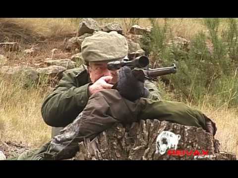 Caccia agli Ungulati in Spagna