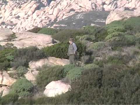 Caccia grossa a S. Teresa Gallura