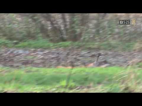 Sovrapposto Browning B525