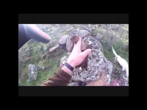 Caccia alla Beccaccia in Sardegna