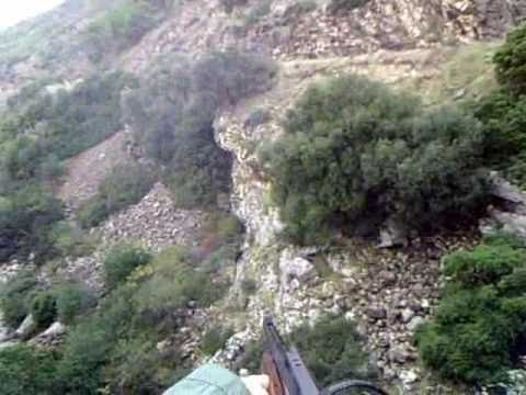 Caccia al Cinghiale all\’Isola d\’Elba