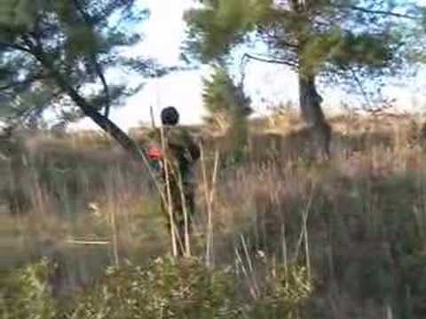 Caccia alla  Beccaccia all\’estero