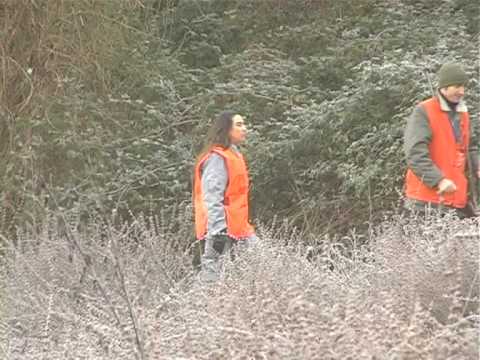 Caccia alla Volpe nelle Marche