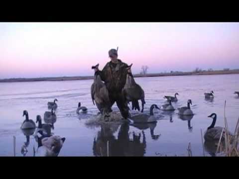 La caccia alle anatre in Argentina – Argentina Wild Shooting