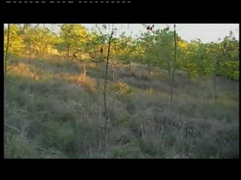 Caccia alla Lepre in Grecia