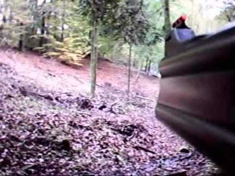 Caccia al Cinghiale in Belgio