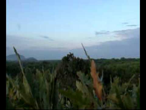 Caccia al Colombaccio