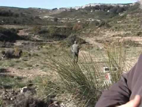 Caccia alla Pernice rossa in Spagna