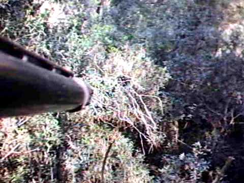 Caccia alla Beccaccia