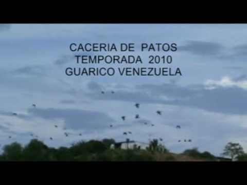 Caccia agli acquatici in Venezuela