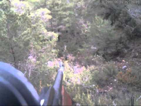 Caccia al Cinghiale in Francia