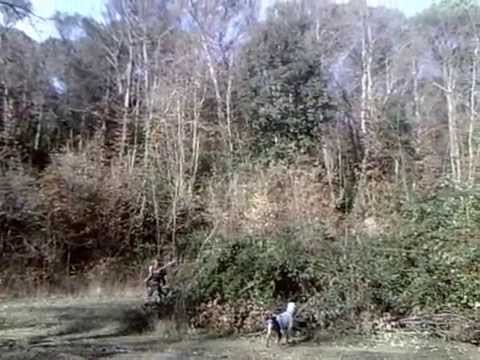 Caccia al Fagiano all\’Inglese