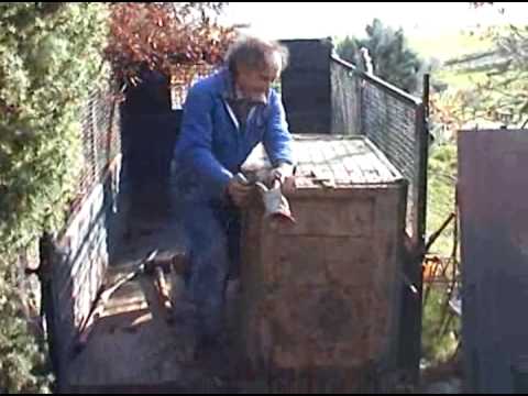 Cinghiale – Con Cinghiale arrabbiato non si scherza..