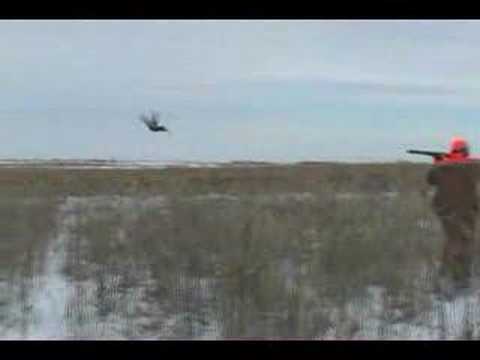 Hunting Passion – Caccia ai Fagiani Americani